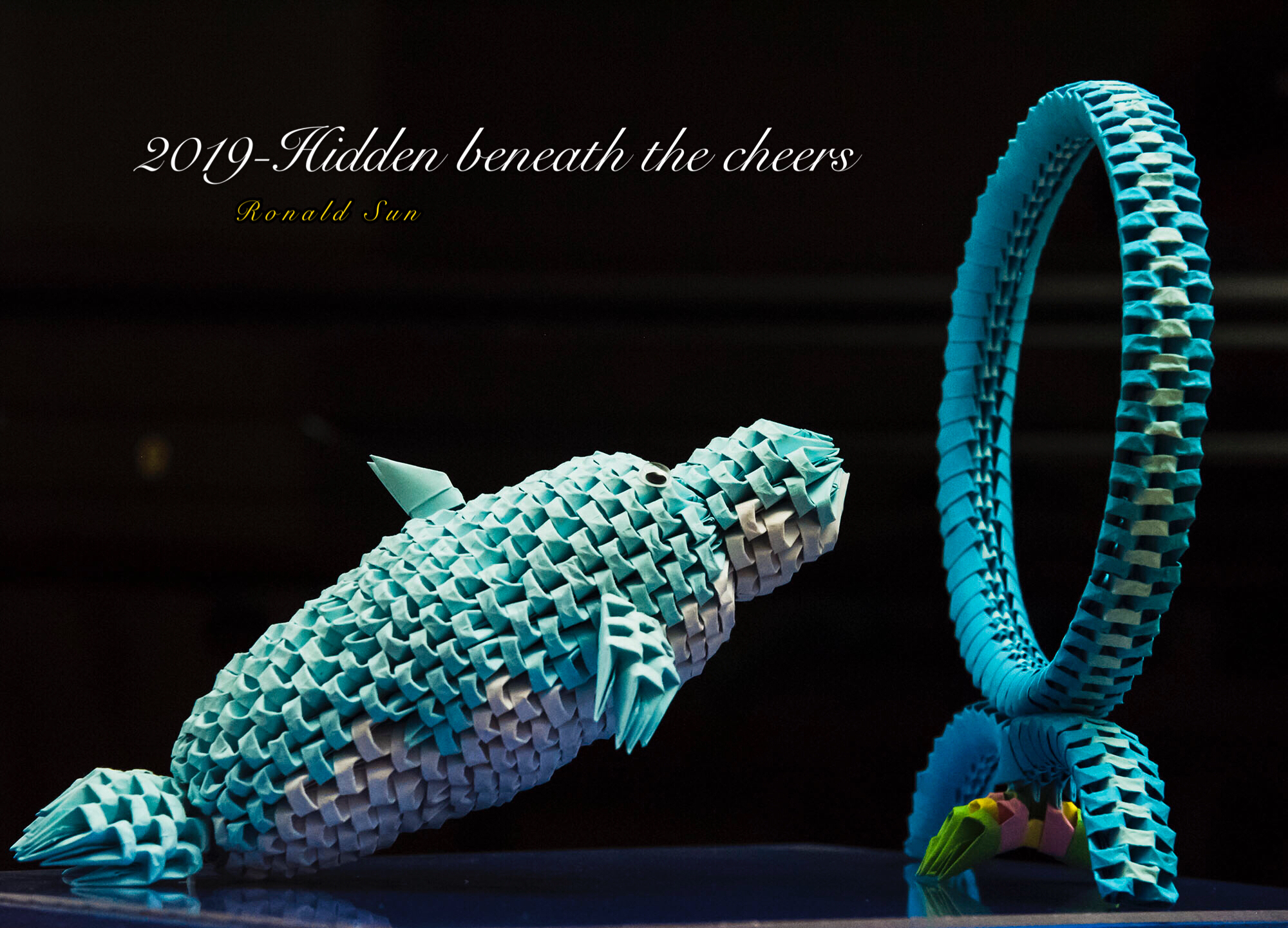 The dolphin, admired for her intelligence, playfulness, and friendliness, has enthralled the hearts of many people. She glided through the earth’s ocean accompanied with her friends, sometimes they end up with fishes, other times they might end up with squids. She joked with her friends, splashing them with the warm and soothing water she was surrounded with. Today, the water is not as soothing - it tastes uncomfortable and there is not much space to swim as freely as she used to. Her body stings from the cuts and scars she got from clashing with the objects around her. She wants to hunt for food, but there is no food around except for the small amount of dead fishes that her trainers feed to her. She doesn’t know where her friends went. Nevertheless, she coordinates with them to put on a show, hoping that her performance will impress her trainer enough to receive a well needed piece of fish.